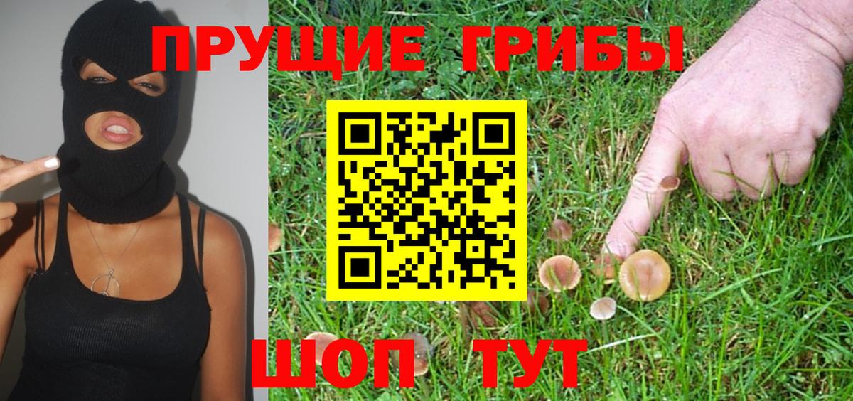 Галлюциногенные грибы GOLDEN TEACHER Топки