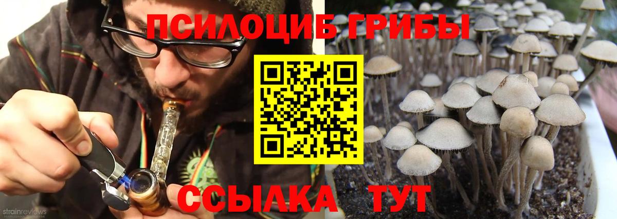 Псилоцибиновые грибы Cubensis  Вход с VPN  Топки 
